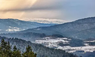 a view of a mountain with trees and buildings at Słoneczny Chełm - Apartamenty w górach, Prywatna sauna jacuzzi balia w cenie, Spa, Grill, Stok narciarski Myślenice, Ścieżki rowerowe, Rzeka Raba, Widok na Tatry in Myślenice