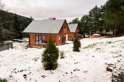 a log cabin in the snow with trees at Domki na Mosornym in Zawoja