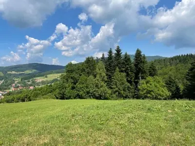 a large green field with trees in the background at U Kowola - Gospodarstwo Agroturystyczne in Węglówka