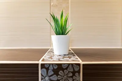 a plant in a white pot sitting on a table at Cracow nest - 2 separate rooms, heart of Kazimierz in Kraków