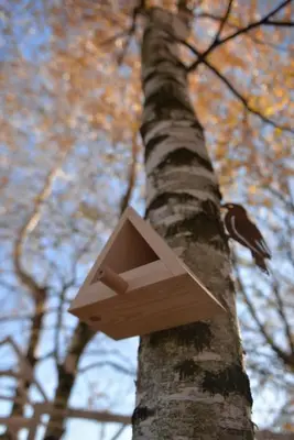 a birdhouse on the side of a tree at JURA GLAMP luksusowe całoroczne domki na wyłączność KOPUŁY IGLOO taras ogród in Wola Kalinowska