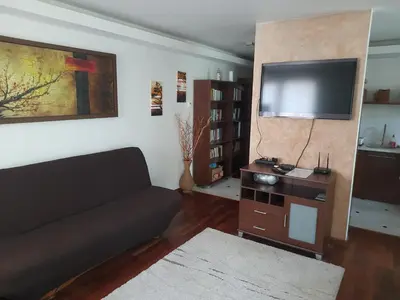 a living room with a couch and a flat screen tv at APARTAMENT LUCYNA in Rabka