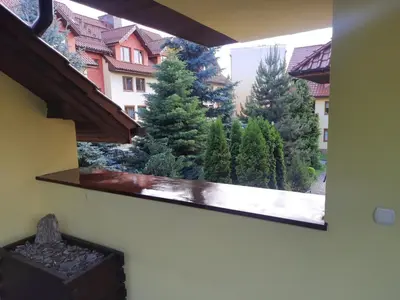 a window with a view of some pine trees at APARTAMENT LUCYNA in Rabka