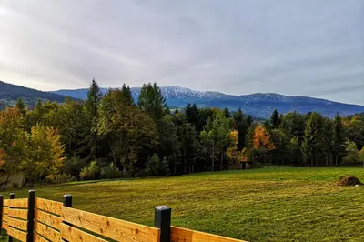 a fence in a field with mountains in the background at Pine Tree Chalet in Zawoja
