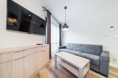 a living room with a couch and a tv at Deluxe Apartment Rakowicka 15 WAWELOFTS in Kraków