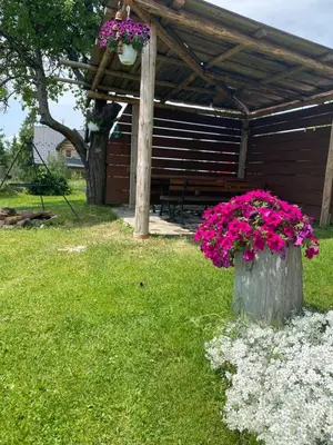 a bunch of pink flowers on a stump with a bench at Nocleg pod Turbaczem in Nowy Targ