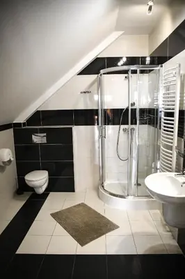 a bathroom with a shower and a toilet and a sink at Pensjonat Zdrojowy in Rabka
