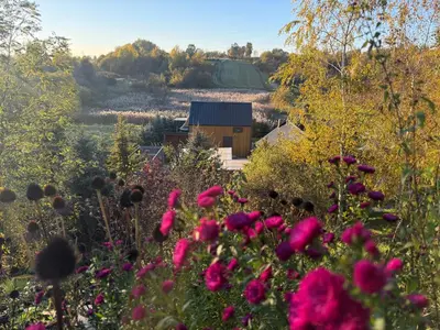 a field of flowers with a house in the background at Siedlisko Święty Spokój in Krzeszowice