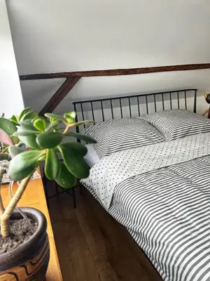 a bedroom with two beds and a potted plant at Malinowa Chatka in Jankowice
