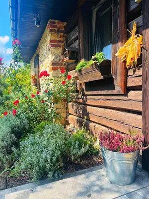 a porch of a house with flowers and plants at Malinowa Chatka in Jankowice