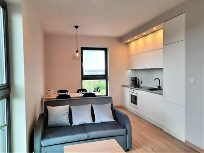 a living room with a couch and a kitchen at MOGILSKA Apartments near Tauron Arena Krakow in Kraków