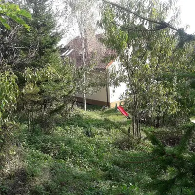 a house in the middle of a field of trees at 22 Kąty in Radziemice