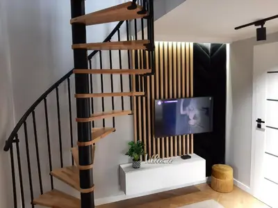 a spiral staircase in a living room with a tv at Apartament Willa Pod Sosnami Zator Przeciszów in Zator