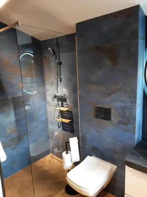 a bathroom with a toilet and a shower at Apartament Willa Pod Sosnami Zator Przeciszów in Zator