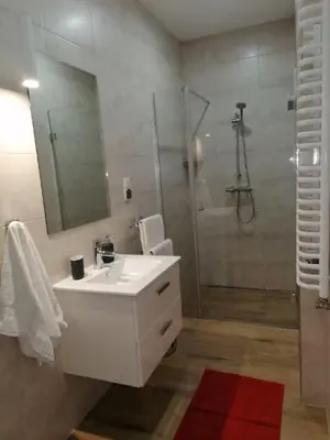 a bathroom with a sink and a shower with a mirror at Gladiator Noclegi Zator II in Zator