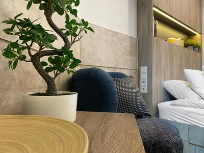 a table and a chair with a potted plant in a room at Beautiful studio for couples with Air Conditioning - Old Town & Main station in Kraków