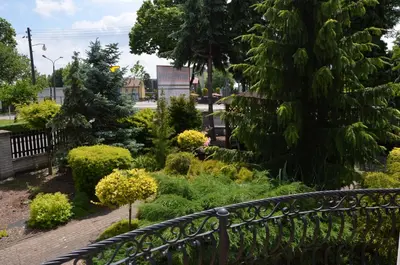 a black bench in a garden with bushes and trees at Apartament DeLuxe 2 in Oświęcim
