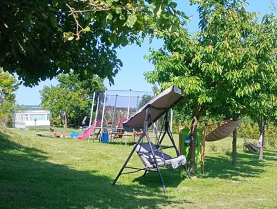 a park with two swings and a tree at Gosp. Agroturystyczne Stary Gaj in Żerkowice