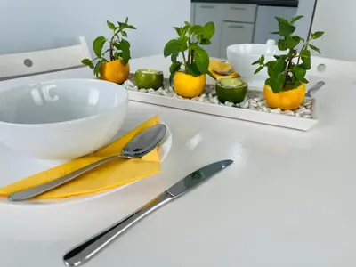a white table with a plate and a bowl and plants at Gladiator Noclegi Zator lll in Zator