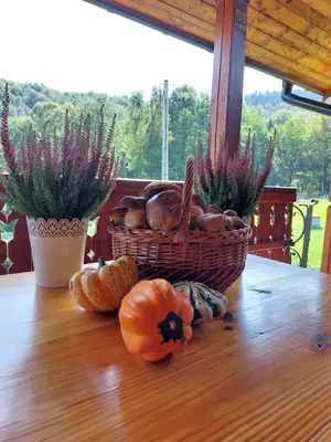 a basket of pumpkins sitting on a table with a basket of flowers at Sękata Chata Zawoja in Zawoja