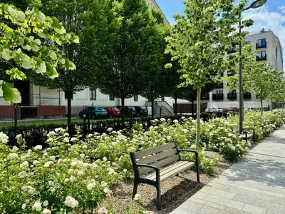 a park bench sitting next to a field of flowers at Old Town - Rajska Signature Suites by Gio Loft in Kraków