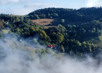 a view of a forest with a train on a hill at Przysiółek Flądrówka - Dom na odludziu z widokiem na Gorce i Tatry in Szczawa