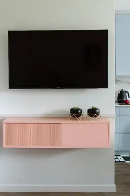 a television on a white wall with two plants at Flav Apartment in Kraków