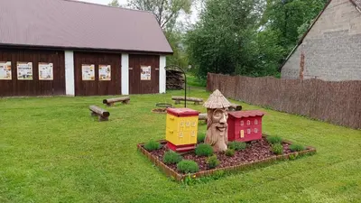 a group of chickens standing in the grass at Miodowa Zagroda - nocleg Zator Energylandia in Miejsce