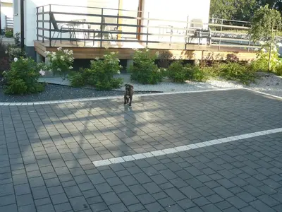 a dog walking in a parking lot at Zator Lider House Energy in Zator