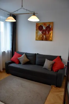 a living room with a black couch with red pillows at Travel Apartament Cracow in Kraków