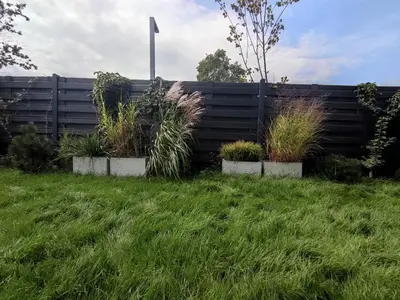 a fence with three plants in a yard at Garden Apartment Self Check-in - Bezklucz kropka info in Kraków