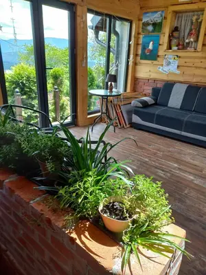 a living room with a couch and some plants at apartament simonka z jacuzzi zawoja in Zawoja