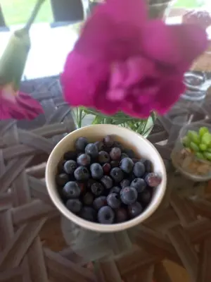 a bowl of blueberries on a table with a purple flower at Dom Pod Gaikiem in Łękawica