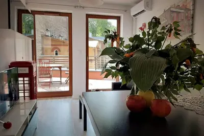 a vase with a plant on a table in a kitchen at Apartament z tarasem - Appartment with tarace in Kraków