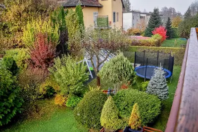 an aerial view of a garden with trees and shrubs at Apartament w Alejce in Rabka