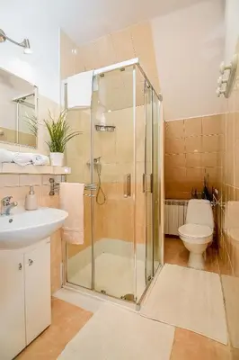 a bathroom with a shower and a sink and a toilet at Apartament w Alejce in Rabka