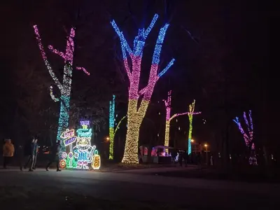 a group of trees lit up with christmas lights at Cracowapart Hugo in Kraków