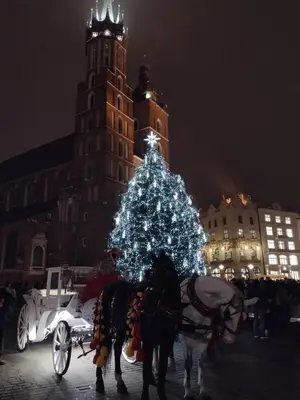 a horse drawn carriage in front of a christmas tree at Cracowapart Hugo in Kraków