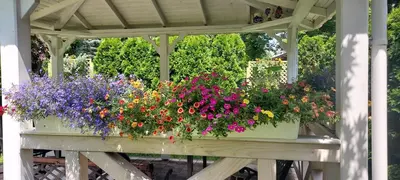 a gazebo with a bunch of flowers in it at Hidden Gem Garden in Kraków