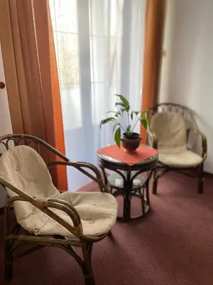 two chairs and a table with a potted plant in a room at Pensjonat Południe in Wieliczka