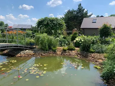a garden with a bridge over a pond at Siedlisko Przyjazne Progi in Rusocice