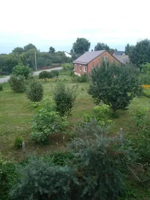 a garden with trees and a house in the background at Siedlisko Pauza in Kozłów