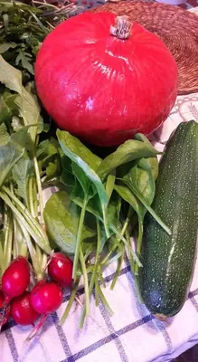 a bunch of vegetables sitting on a table at Siedlisko Pauza in Kozłów