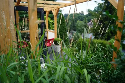 a garden with green plants and a wooden pergola at Mały domek w Dolinie Prądnika in Sułoszowa