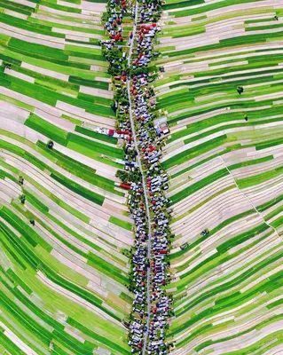 a large crowd of people walking down a street at Mały domek w Dolinie Prądnika in Sułoszowa