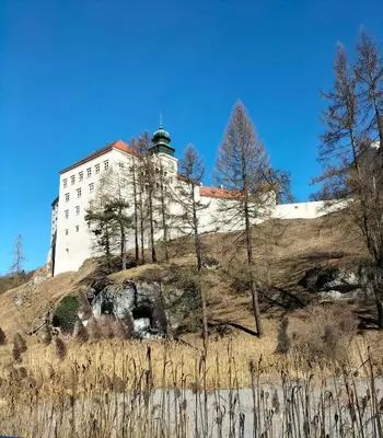 a castle on top of a hill with trees at Mały domek w Dolinie Prądnika in Sułoszowa