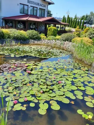 a pond of lily pads in front of a building at Hotel Savana in Kłaj