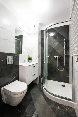 a bathroom with a shower and a toilet and a sink at Drwinka Park Apartment in Kraków