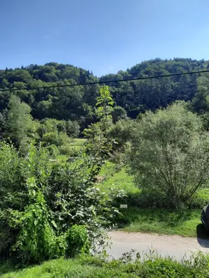 a view of a field with trees and a road at Ojców, Na Widoku in Ojców