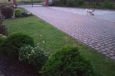 a dog walking down a brick walk way at Studio Familly-nocleg-Zator- Wadowice-Oświęcim-Kraków in Bachowice